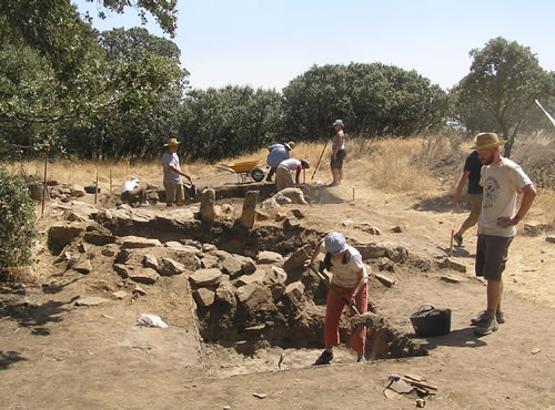 Fueron encontradas en buen estado en una excavación arqueológica en la provincia de Zamora junto a granos de avena y cebada, Fueron encontradas en buen estado en una excavación arqueológica en la provincia de Zamora junto a granos de avena y cebada