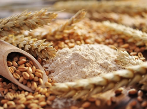 Especialistas en nutrición defienden el consumo de trigo como base energética de una dieta saludable, Especialistas en nutrición defienden el consumo de trigo como base energética de una dieta saludable