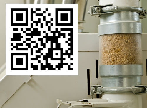 El código QR llega al trigo, Ya es posible obtener información de dónde y cuándo fue cosechado el trigo de la harina que vas a consumir.