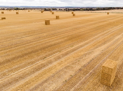 Construcción Sustentable con Pacas de Paja: ¿Cómo Funciona?,  Alternativa fascinante y ecológica.